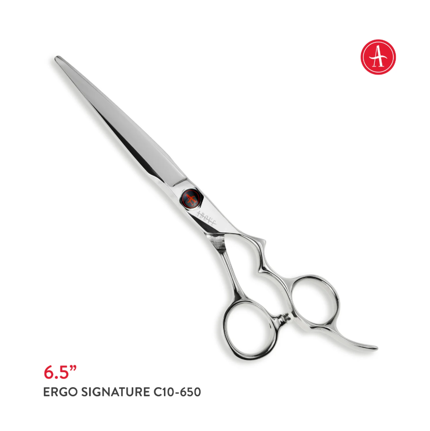 Above Ergo Signature