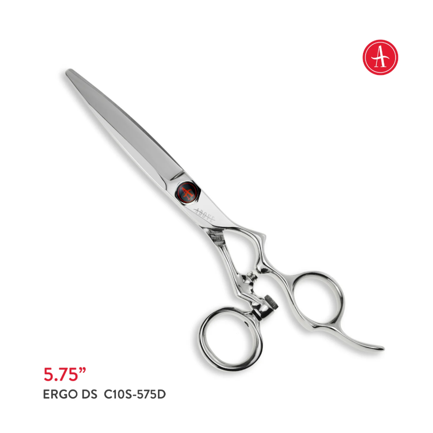 Above Ergo DS Swivel