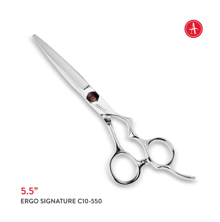 Above Ergo Signature