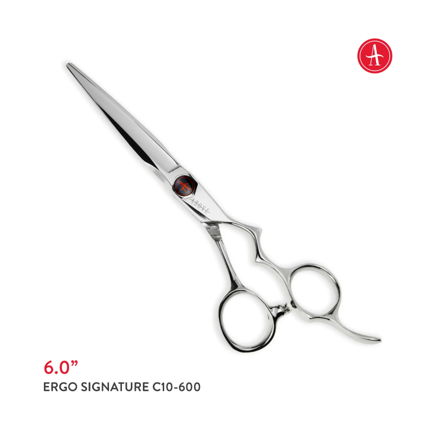 Above Ergo Signature